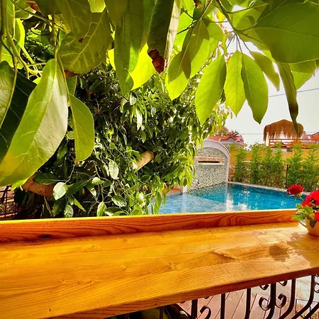 Apartment Telmessos Fethiye