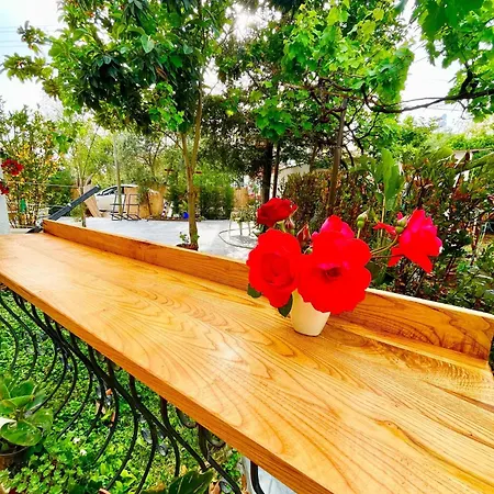 Telmessos Appartement *